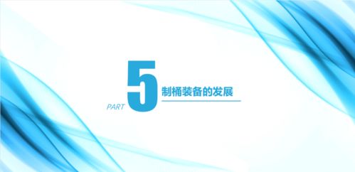 中國鋼桶行業的現狀及再利用發展趨勢——在第四屆中國再生資源回收利用協會技術大會上的演講